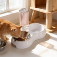 thumbnail image 6 of SHENGXINY Stainless Steel Cat Food Bowl and Water Bowl Set - 2 in 1 Automatic Gravity Water Dispenser, Integrated Food Water Bowl for Small Medium Dogs & Cats Gray 11.81x4.72x10.24in, 6 of 6