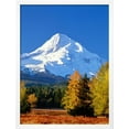 thumbnail image 2 of Trees with snowcapped mountain range in the background, Mt Hood, Upper Hood River Valley, Hood R, Scenic Seasons Framed Art Print Wall Art Sold by Art.Com, 2 of 5