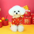 thumbnail image 3 of Guiexla Pet Clothes Chinese New Year Dog Costume Cartoon Pattern Comfortable Warm Pet Jumpsuit for Festive Decor, 3 of 7