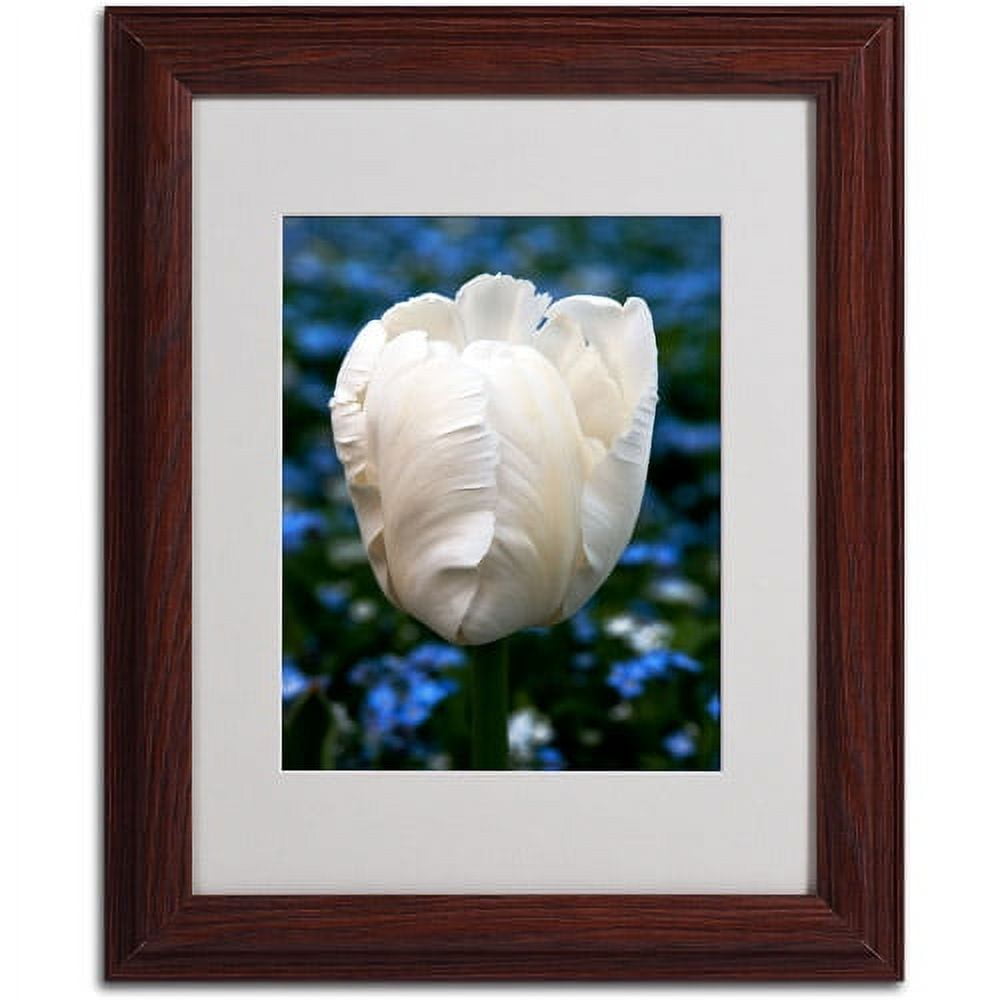 Trademark Fine Art "Parrot Tulip" Canvas Art by Kurt Shaffer, Wood Frame