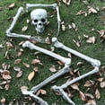 thumbnail image 4 of Halloween Skeleton Prop Human Full Size Skull Hand Garden Model Decor, 4 of 5