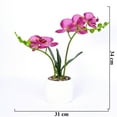thumbnail image 3 of Accent Collection Polyrésine Orchidée Bonheur - Réaliste Rose & Vert, Jardinière Blanche, 3 of 6