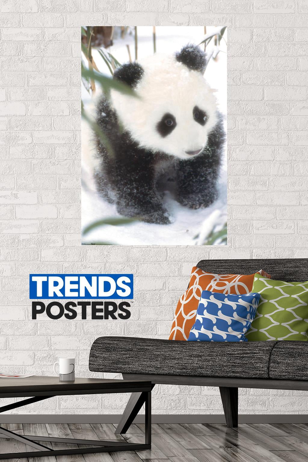 Animals - Panda in the Snow Wall Poster, 22.375" x 34"
