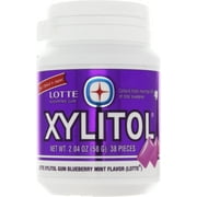 Lotte Xylitol Blueberry Mint Flavor Sugar Free Gum 2.04 oz.