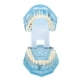 thumbnail image 3 of Modelo de Dientes Patológico Dental Desmontable ANGGREK Mandíbula Transparente Azul, 3 of 8