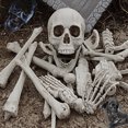 thumbnail image 1 of Muyoka 28 piezas de huesos de esqueleto de calavera, accesorios de terror espeluznantes, decoración de cementerio para decoración de fiesta de Halloween Muyoka Hogar, 1 of 7