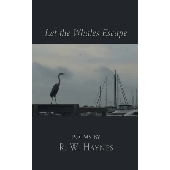 Let the Whales Escape (Hardcover)