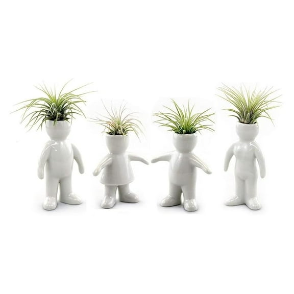 White Ceramic Man, Woman, Boy and Girl People Shaped Planters with Live Tillandsia Air Plants - 3.5"-4.75" Potted Indoor Air Plants for Home and Office Decor