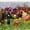 B, variant on Pet Memorial Garden Stake,7.8in Long Lasting Memorial Pet Grave Markers,Memorial Garden Cemetery Yard Decoration Garden Grave Decor For Garden And Yard