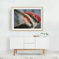 thumbnail image 6 of Eye Of The Woodpecker - Photography Wildlife Bird Nature Animal Woodland Portrait Unframed Wall Art Print 36 x 48 inches, 6 of 7