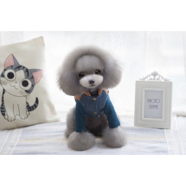 Mascota Perro Gato Denim Jean Ropa de Ambos Ropa de para cachorros Sunnimix Pet chaleco de jeans