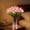 Pink, variant on Artificial Tulip Flowers LED Lights, 15 PCS Radiant Romantic Tulip Light, Twinkling LED Tulips, Flower Shaped Ambient Night Lamp for Bedroom Bedside Decor
