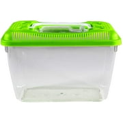 Penn-Plax Small World Habitat Portable Transparent Plastic Tank 0.6 Gallon