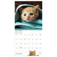 thumbnail image 2 of TF Publishing 2026 Kittens Mini Calendar - Gloss Paper, 2 of 5