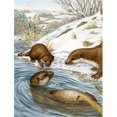 thumbnail image 1 of Otter At Play Flag Canvas House Size, 1 of 1