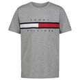 thumbnail image 1 of Camiseta Tommy Hilfiger de manga corta para niños con bandera de 4 años, gris, 1 of 1