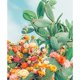 thumbnail image 2 of Cuadros Decorativos Diamond Painting 5D DIY Lotus Kit de diamantes de imitación de taladro redondo completo (NY200) DQrwqpou Nuevos Originales, 2 of 9