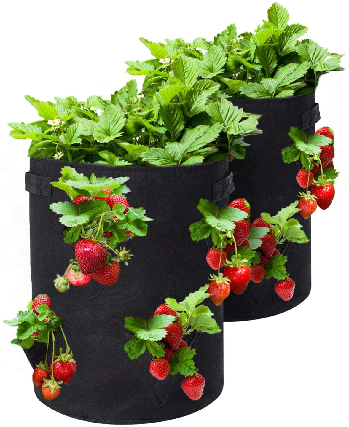 Home Grown Strawberry and Herb Planter