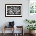 thumbnail image 3 of Art.com Majestic Old Oak, Black and White, Petaluma Northern California Photographic Print by Vincent James, Brown Frame Wall Art, 44" x 32", 3 of 5