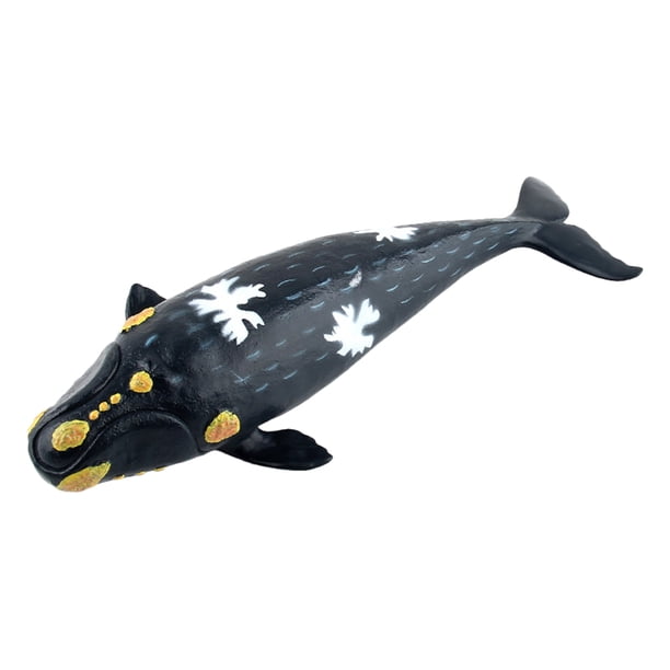 FELTECHELECTR Modelo de ballena franca, modelo de vida marina, relleno de algodón, juguete de ballena franca falsa, divertido modelo educativo, juguete para niños