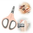Avoid This 5Th Toe Nail Disaster: Vertical Implantation Explained - pgcsmby