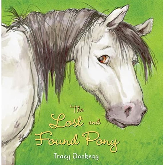 Pre-Owned The Lost and Found Pony (Hardcover)