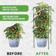 thumbnail image 5 of Soporte para Plantas Cuadrado K-Brands 6 Unidades 104 cm, 5 of 8