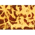 thumbnail image 1 of Ahgly Company Machine Washable Indoor Rectangle Abstract Yellow Modern Area Rugs, 2' x 4', 1 of 4