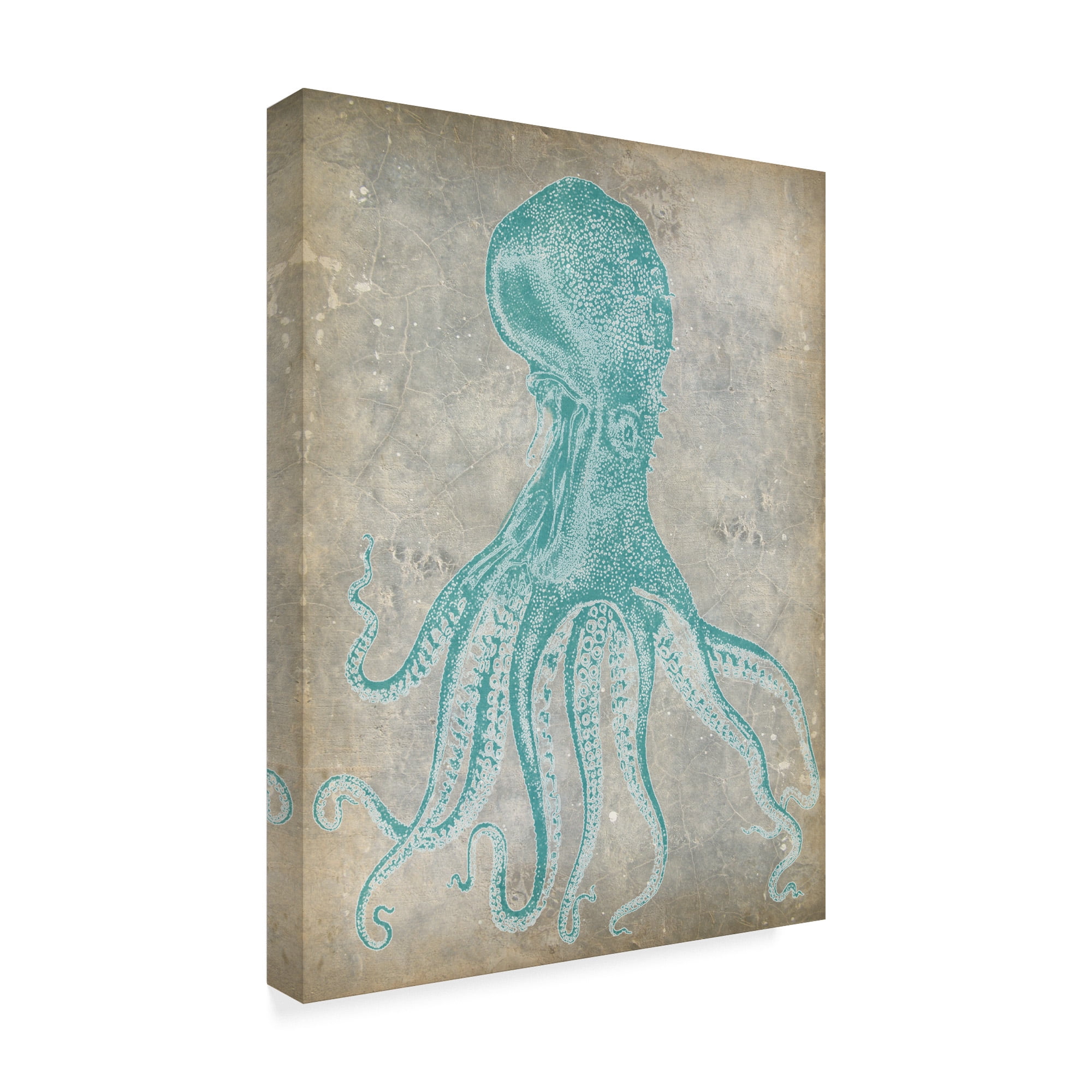 Trademark Fine Art 'Spa Octopus II' Canvas Art by Jennifer Goldberger