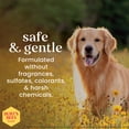 thumbnail image 4 of Burt's Bee Paw and Nose Lotion for Dogs 4oz, 4 of 7