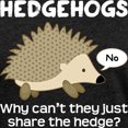 thumbnail image 3 of CafePress - Hedgehog Pun T Shirt - Womens Football Shirt, 3 of 4