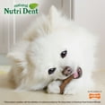 thumbnail image 5 of Nylabone Nutri Dent Filet Mignon Flavored Dental Dog Chew Treats Mini (160 Count), 5 of 13
