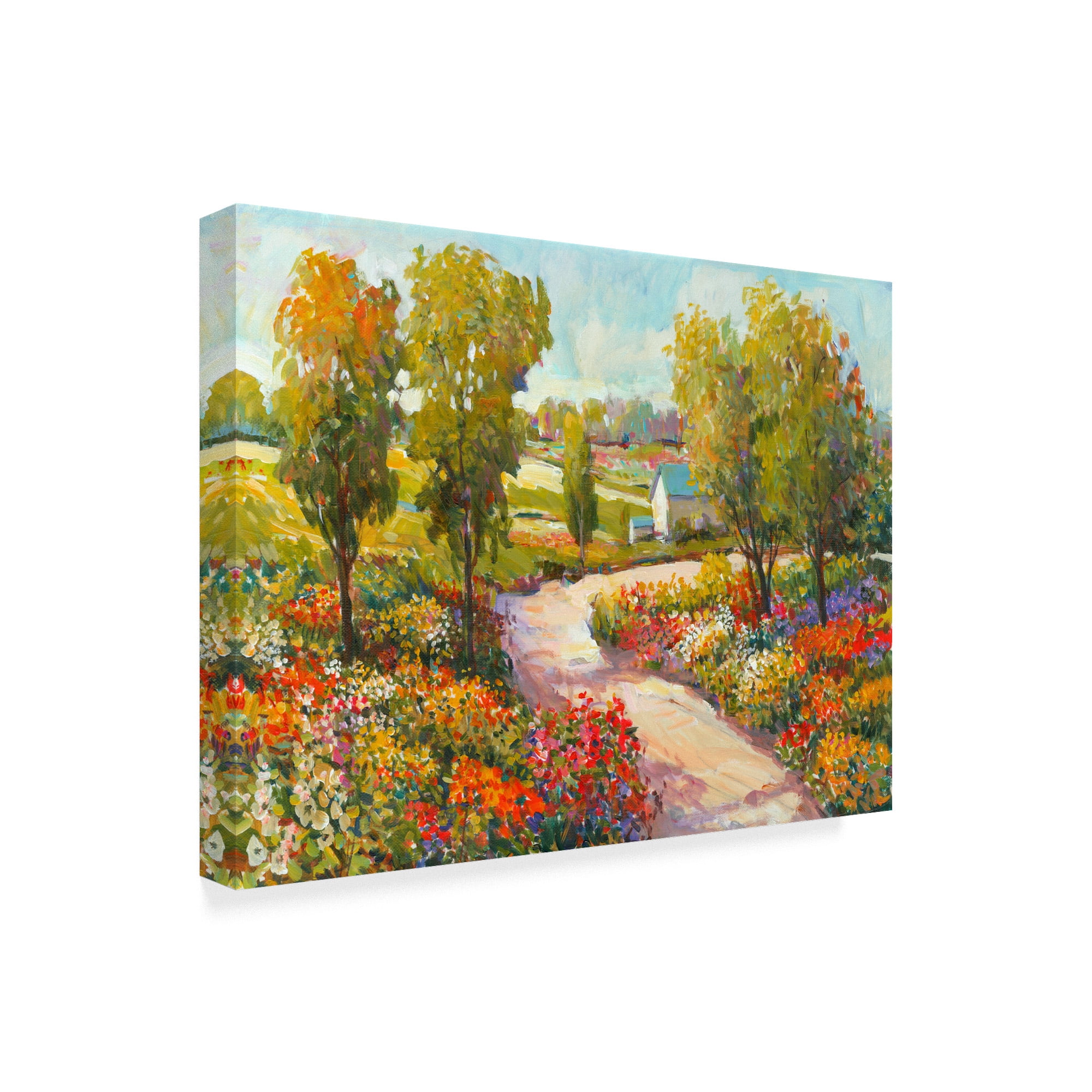 Trademark Fine Art 'Morning Walk I' Canvas Art by Tim OToole