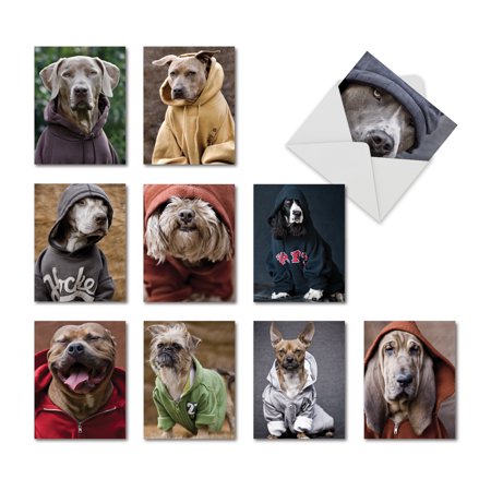 M3733OCB-B1x10 M3733OCB DOGS IN DA HOOD' 10 Assorted All Occasions Note Cards with Envelopes by The Best Card (All The Best Cards)