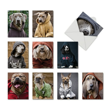 M3733OCB-B1x10 M3733OCB DOGS IN DA HOOD' 10 Assorted All Occasions Note Cards with Envelopes by The Best Card