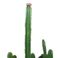 thumbnail image 6 of Rustic Western Desert Forest Saguaro Cactus Cacti Paper Towel Holder Stand Decor, 6 of 9