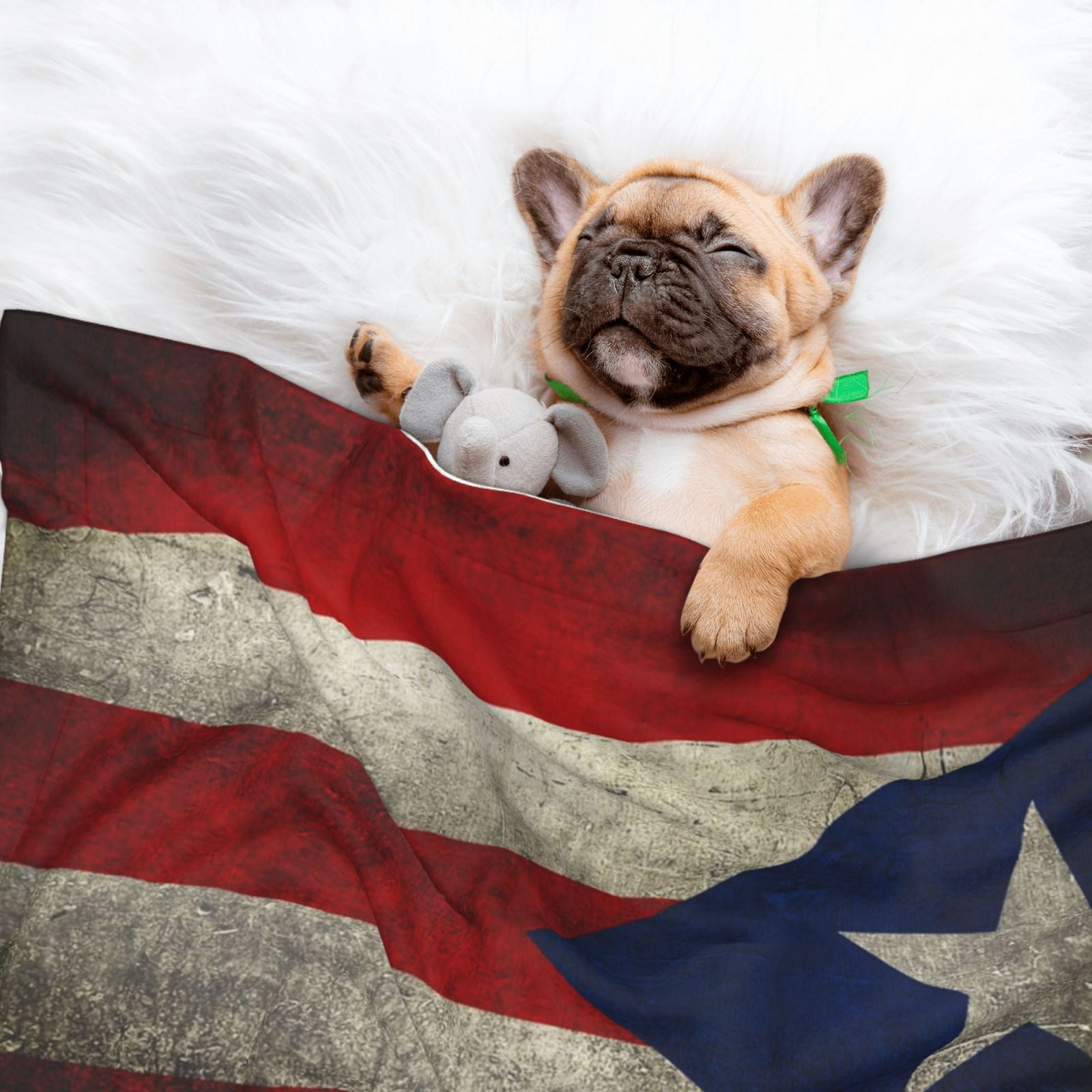 Retro Puerto-Rico-Flag Dog Blanket Soft Warm Flannel Cat Blanket Great Pet Throw for Cats Puppy Small Medium Large Dog