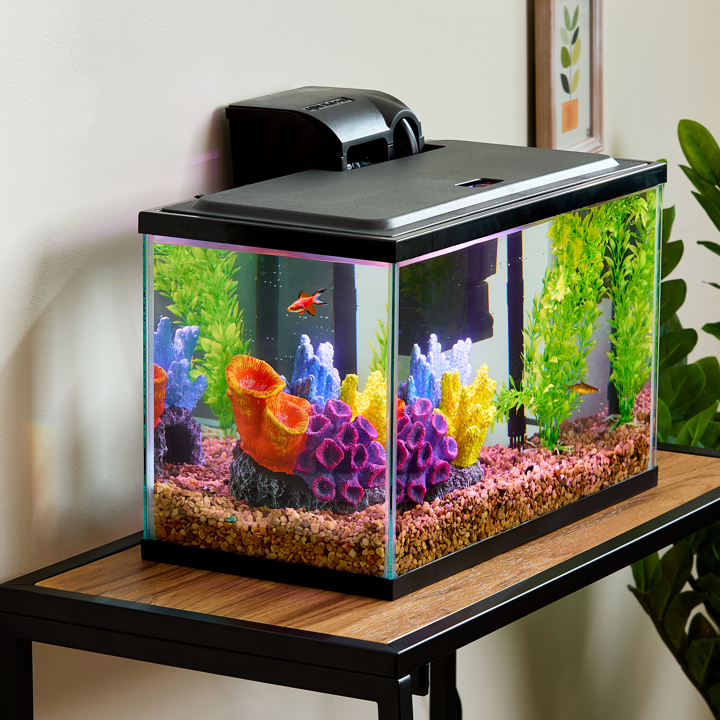 Vibrant Life 5 Gallon Aquarium Starter Kit with LED Lights photo 2
