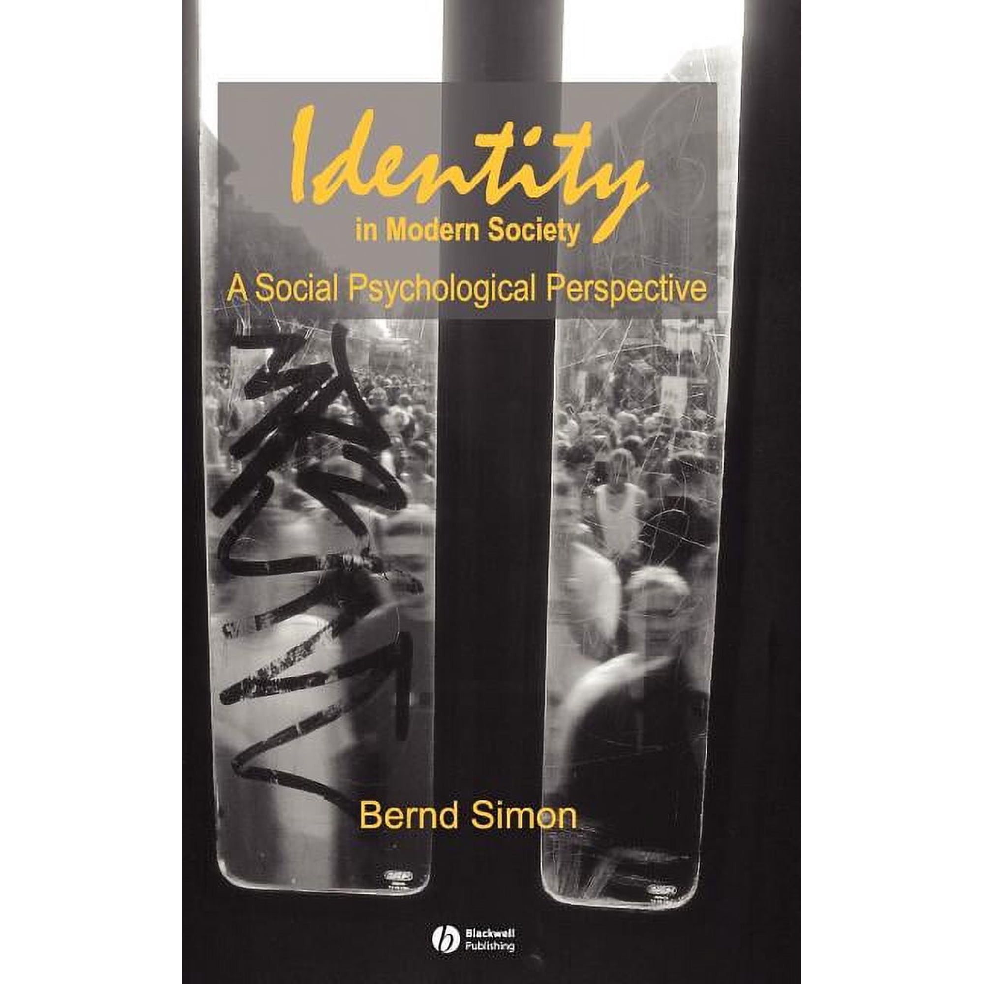 Identity in Modern Society (Hardcover)