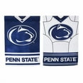 thumbnail image 3 of Evergreen Enterprises, Inc NCAA DS Suede Foil Garden Jersey Polyester 1'6 x 1'0.5 ft. Banner (Set of 2), 3 of 7