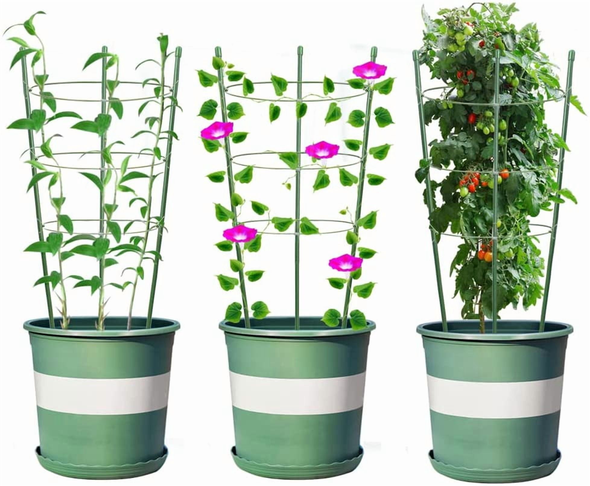 Plant Support Cages for Climbing Plant 20" Flower Cherry Tomato cage with Stand Stakes and Stable Support Rings, 3 Pack with 12 Clips (20")
