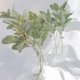 thumbnail image 5 of Tallos de orejas de cordero falsos 15 piezas Vegetación artificial flocada Hojas de orejas de conejo falsas para manualidades de bricolaje para bodas, 5 of 5