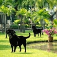 thumbnail image 4 of Estacas decorativas de metal para jardín con forma de perro, silueta de perro, decoración para exteriores, adornos de césped, letrero para patio., 4 of 5