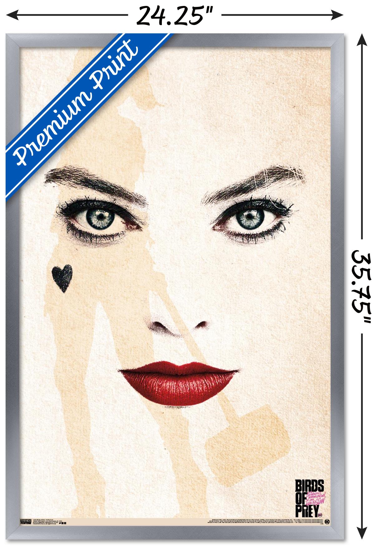 DC Comics Movie - Birds of Prey - Harley Quinn - Face Wall Poster, 22.375" x 34", Framed