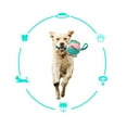 thumbnail image 3 of Flying Dog Ball, Portable Flattened Interactive Plastic Rebounding Multi Functional Dog Flying Saucer Ball  For Pet For Outdoor Blue,Red,Yellow Blue, Blue,Red Green, 3 of 8