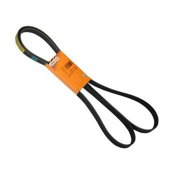 Accessory Drive Belt - Compatible with 1998 - 2002 Mercedes-Benz E430 1999 2000 2001