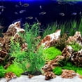 thumbnail image 4 of WASHWEPE 2Ud Con Plásticas Realistas Para Acuario De, 4 of 6