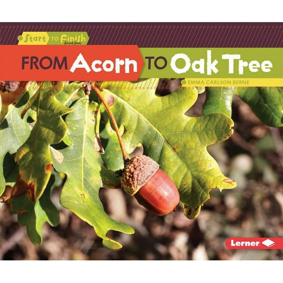 Start to Finish, Second From Acorn to Oak Tree, (Paperback)