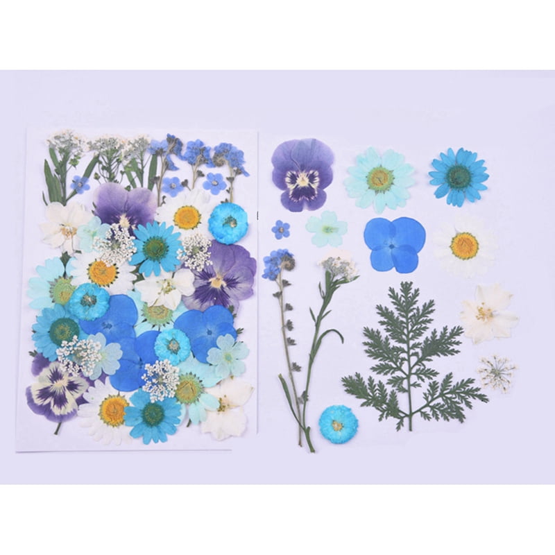 Colorful Pressed Dried Wildflowers in Watercolor Style · Creative Fabrica