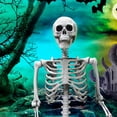 thumbnail image 2 of OZMI 5' 4" Tall Halloween Skeleton Decoration for Haunted House, 63 Inch Plastic Life Size Skull Skeleton for Halloween Party Haunted House Bar Yard Graveyard Decorations Party Supplies, 2 of 11